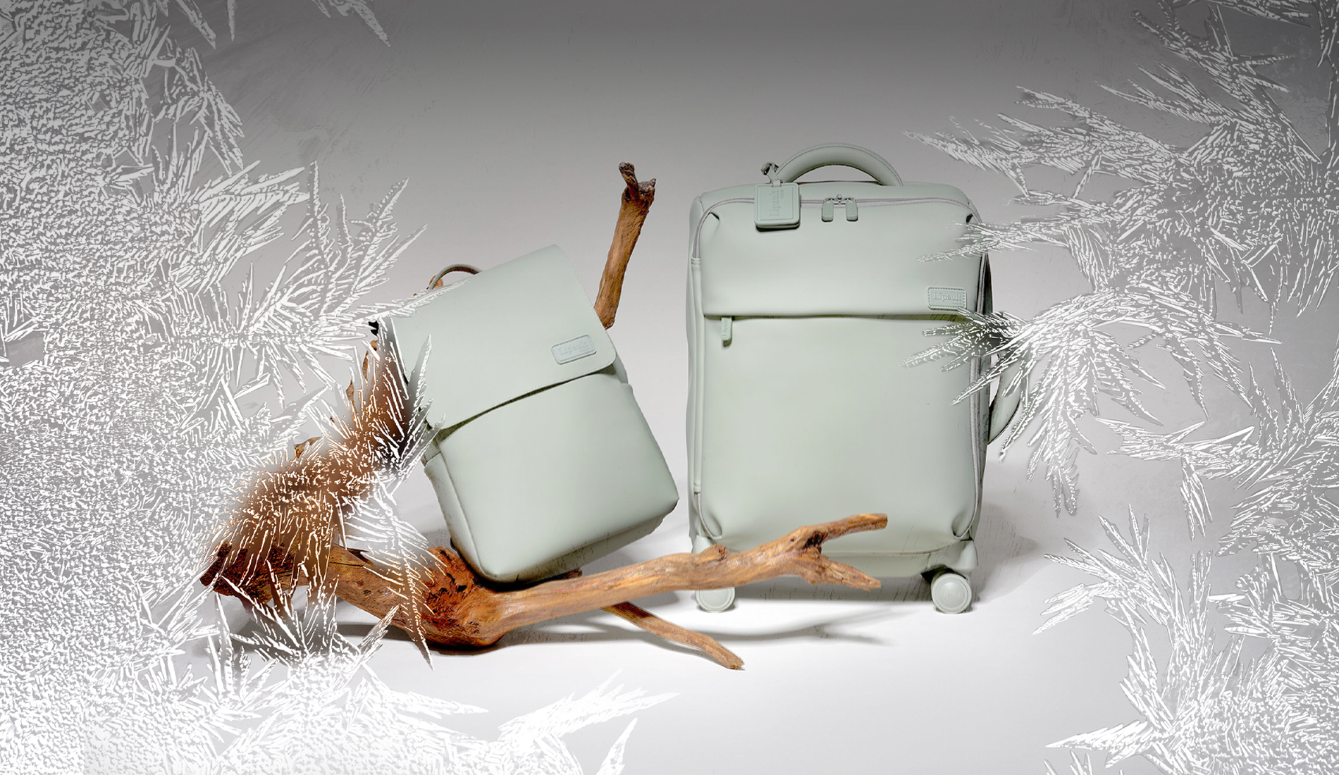 SOLDES D'HIVER